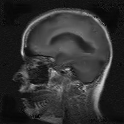 2brain0004.jpg