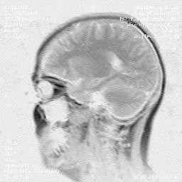 ghostbrain0002.jpg